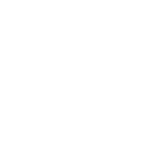 value icon