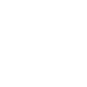 ICONS_Expertise White