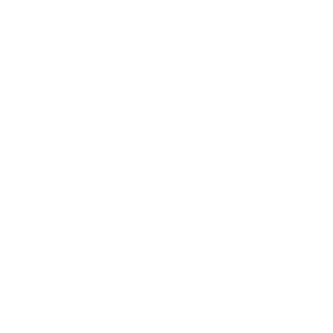 2025_01_MBK_Website-StructuralRepairs-Icon value icon