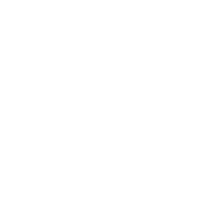 ICONS_Partners White