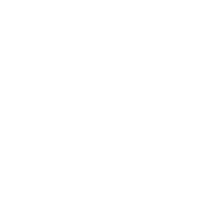 fire pit icon