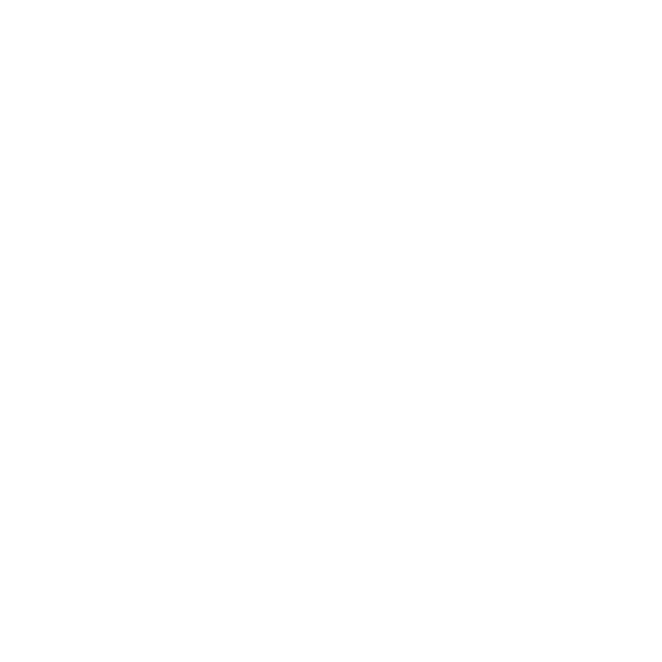 Expertise icon