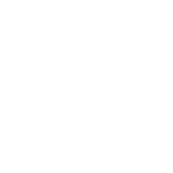 Expertise icon