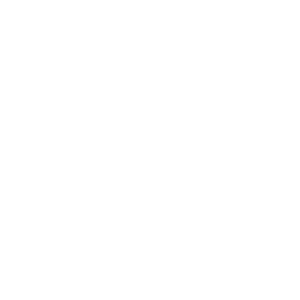 poolside icon